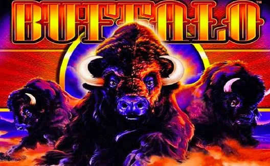 Buffalo pokie cover